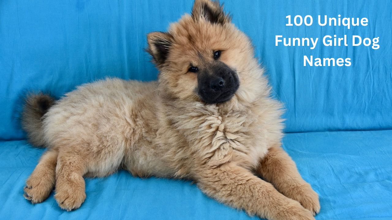 100 Unique Funny Girl Dog Names